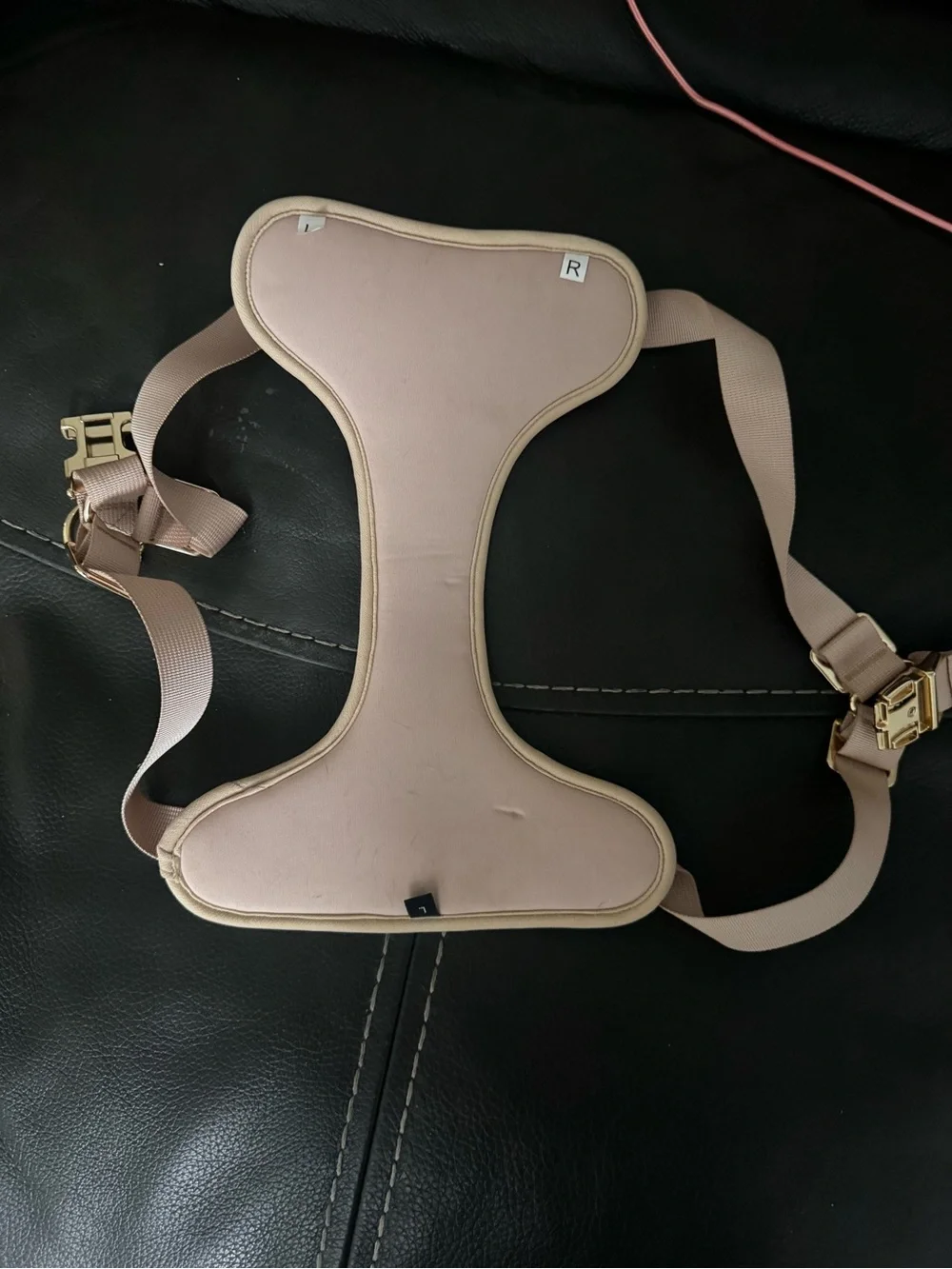 London Fog Nude Pink Harness with Gold Hardware